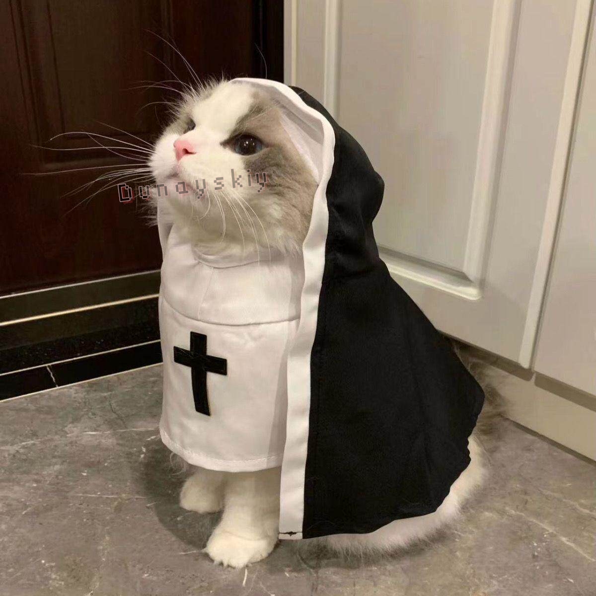 Świąteczny Kostium dla Psa Kot – Anime Cosplay Nun recenzja i cena