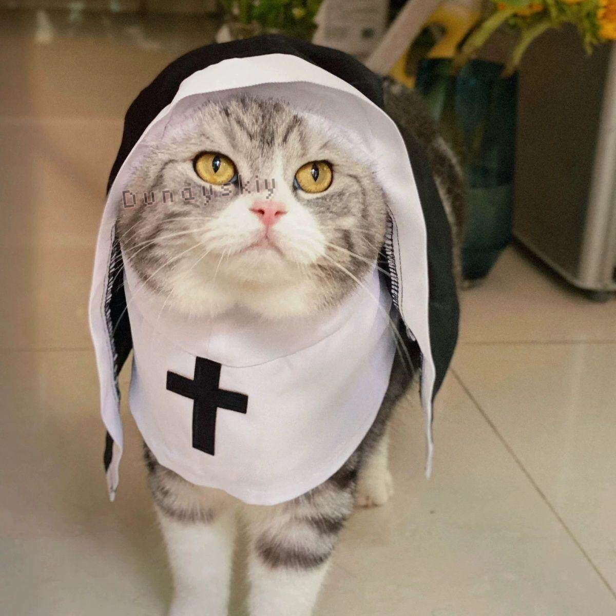 Świąteczny Kostium dla Psa Kot – Anime Cosplay Nun recenzja i cena